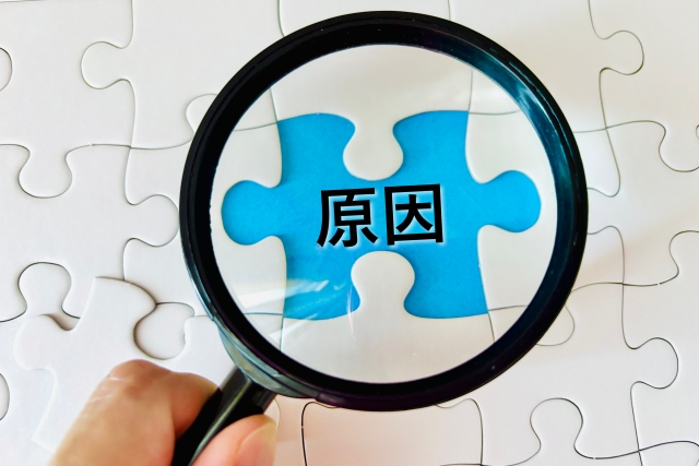 虫眼鏡で原因を見るパズル
